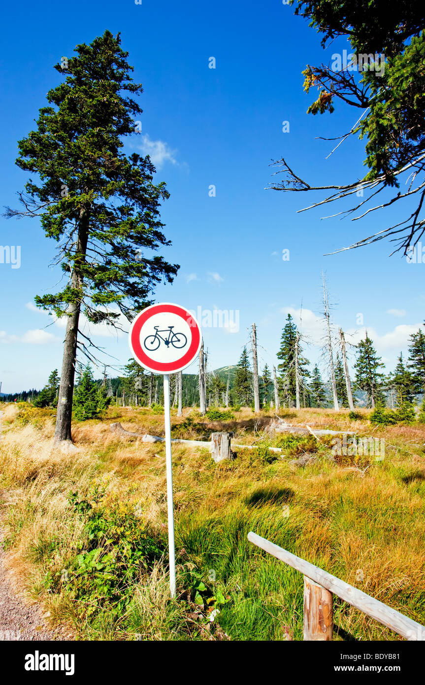 no mountain bikes in stock