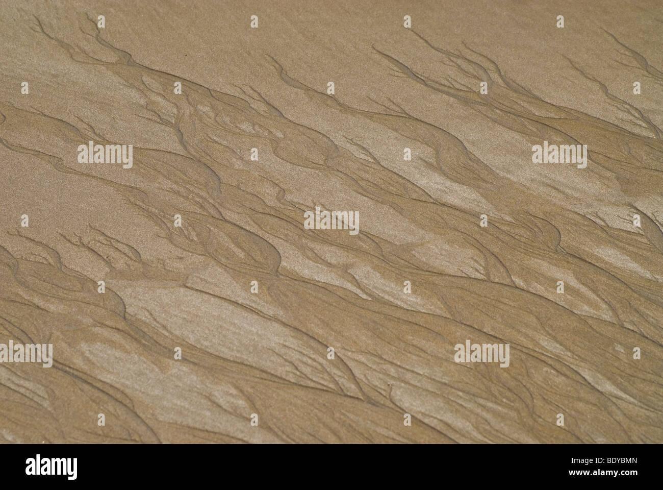 Patterns in the sand, Costa Rica. Stock Photo