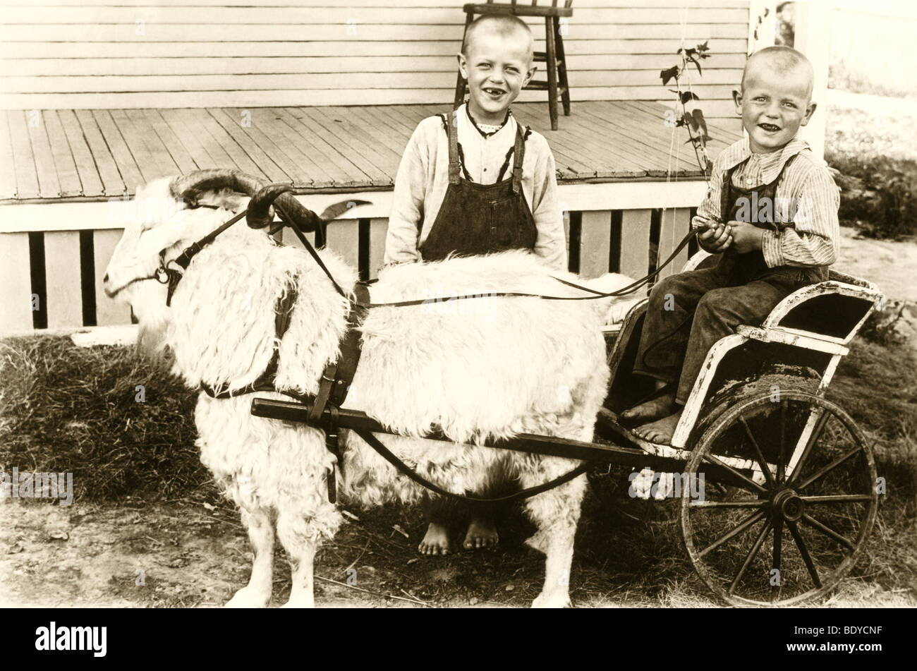 Twin Brothers with Goat Cart Stock Photo
