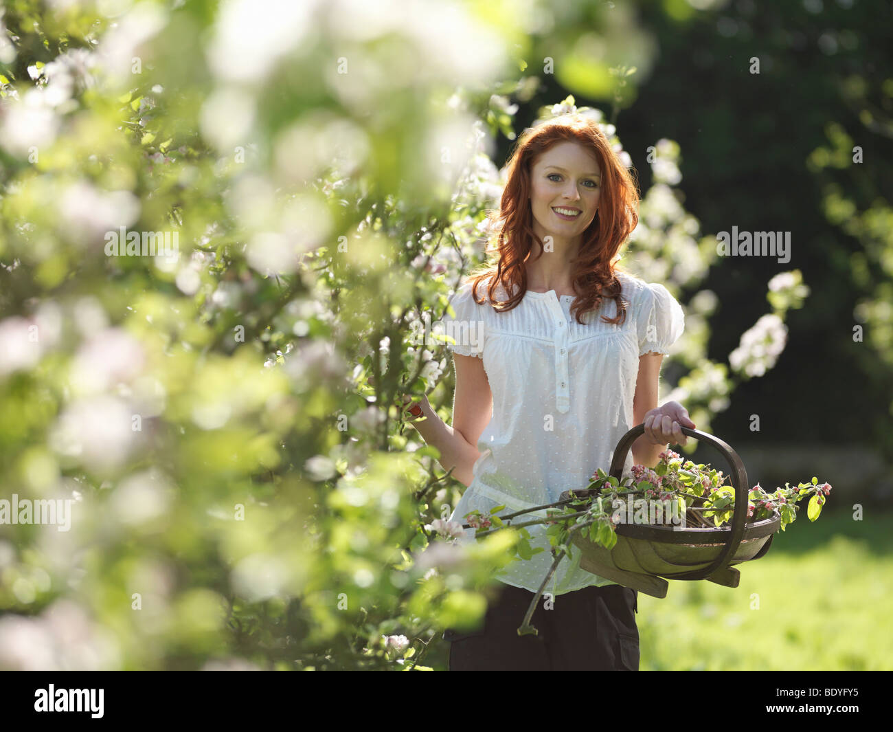 Woman With Apple Blossom In Orchard Stock Photo