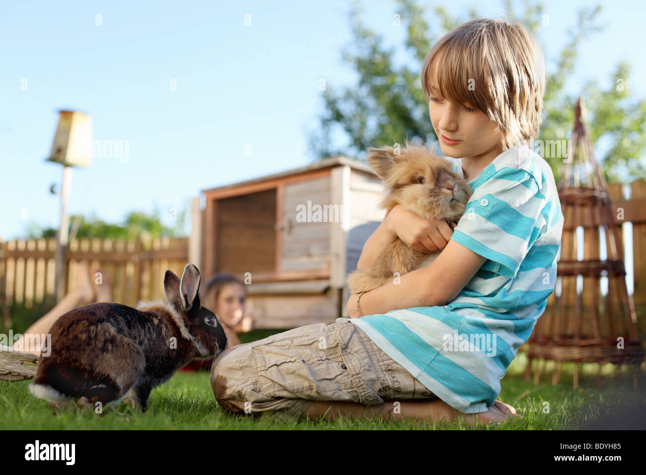 Boy playing with rabbit in garden Stock Photo Alamy