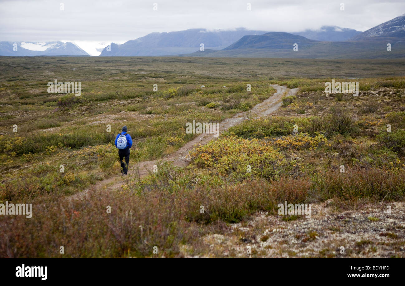 A woman hikes across the alpine tundra on the Maclaren Summit Trail in Alaska Stock Photo