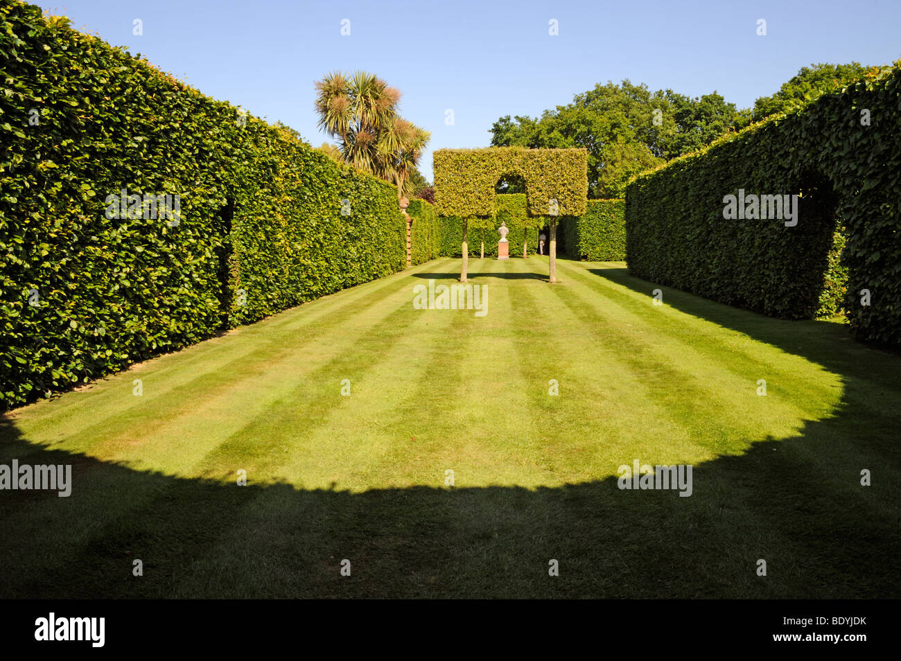 Topiary in the Old Vicarage Gardens ,East Ruston,Norfolk,UK Stock Photo