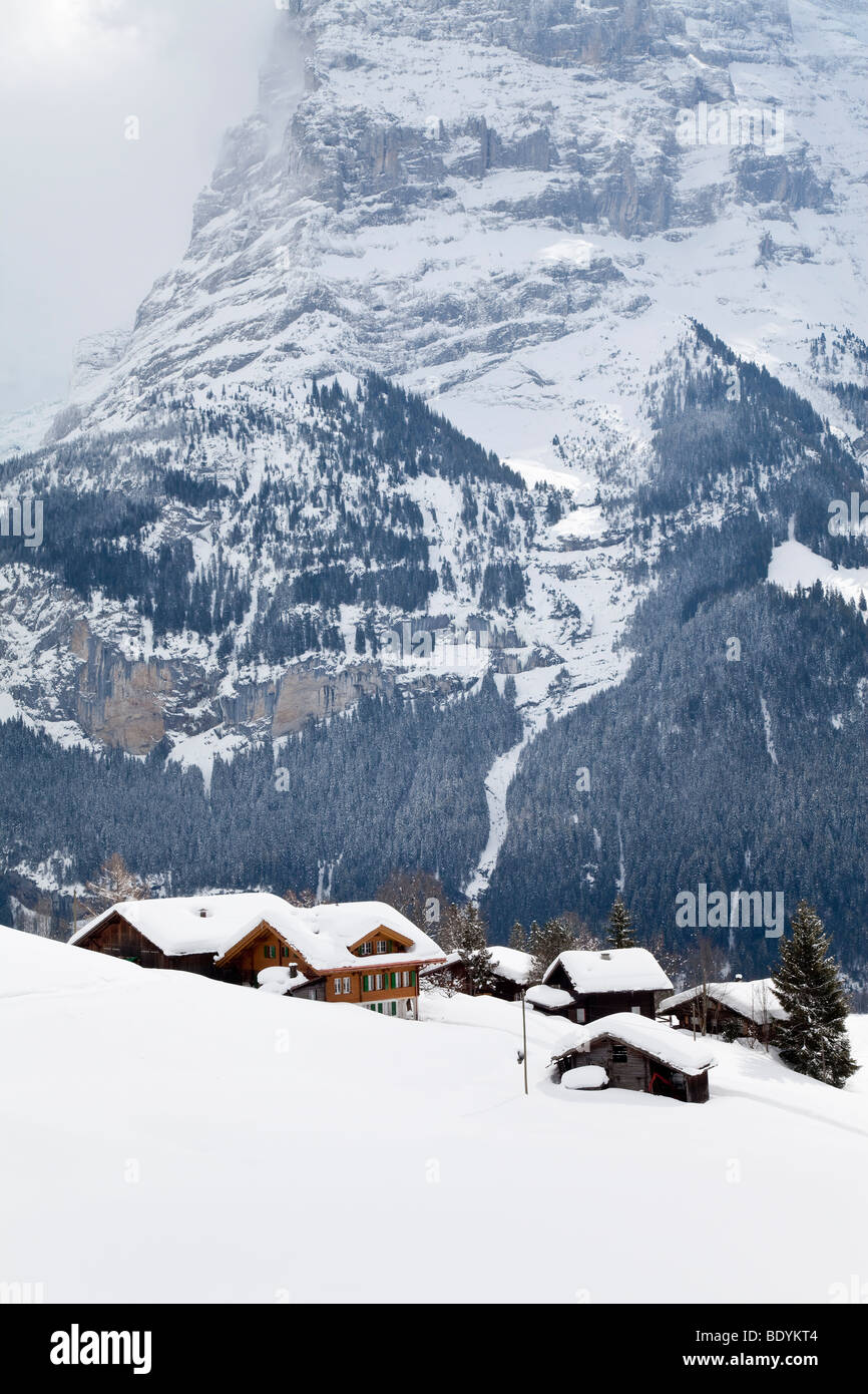 Chalets and the Wetterhorn mountain, Grindelwald, Jungfrau region