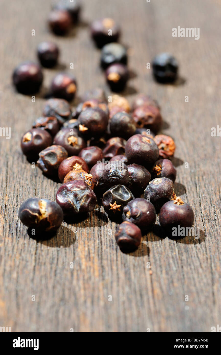 Dried juniper berries Stock Photo