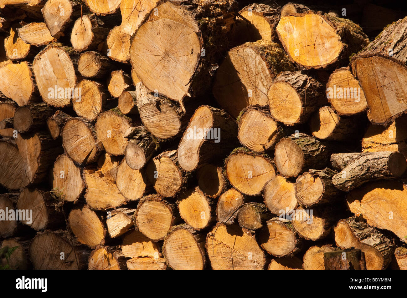 Stackly Logs Pile logs stacked in hi-res stock photography and images - Alamy