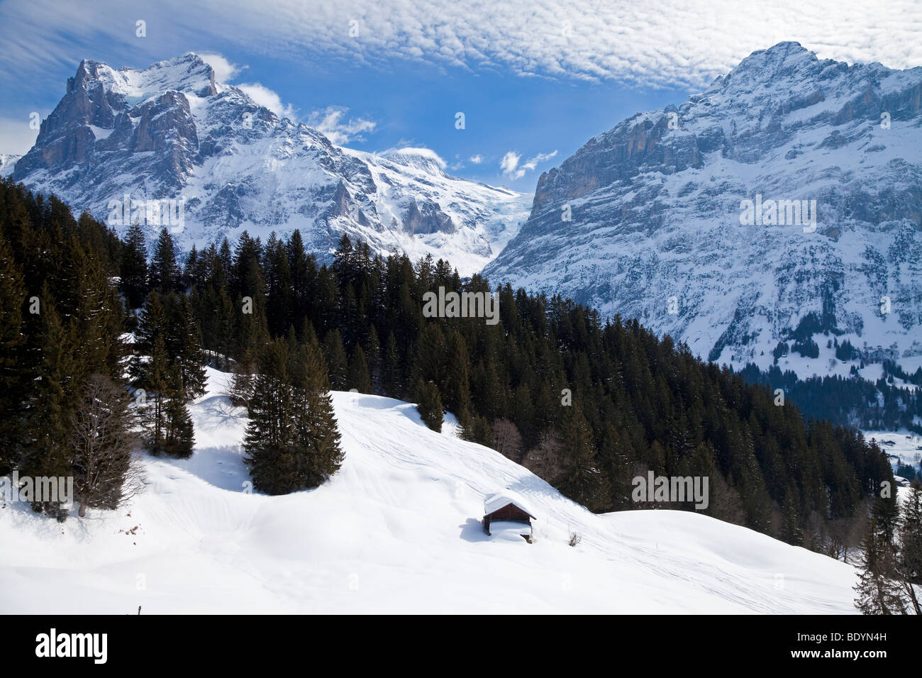 Wetterhorn mountain (3692m), Grindelwald, Jungfrau region, Bernese Oberland, Swiss Alps, Switzerland Stock Photo