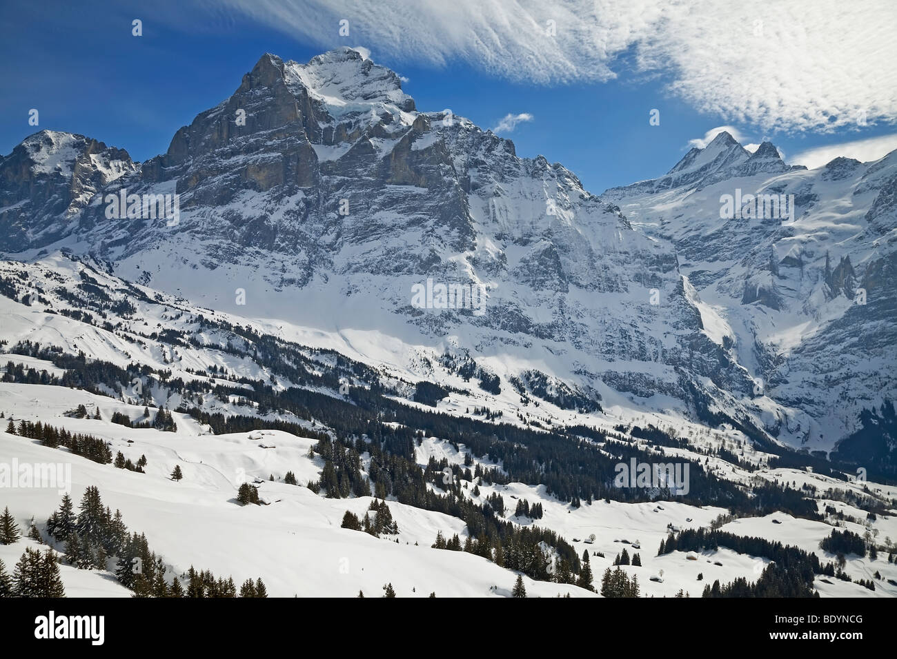Wetterhorn mountain (3692m), Grindelwald, Jungfrau region, Bernese Oberland, Swiss Alps, Switzerland Stock Photo