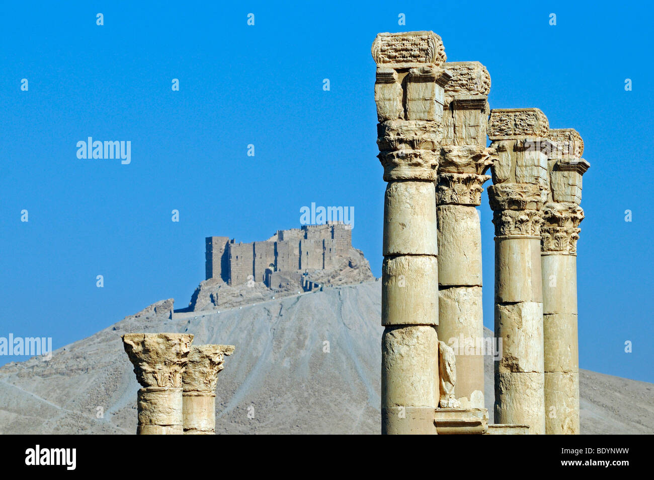 Ruins of the Palmyra archeological site, in the back Qala'at Ibn Ma'n castle, Tadmur, Syria, Asia Stock Photo