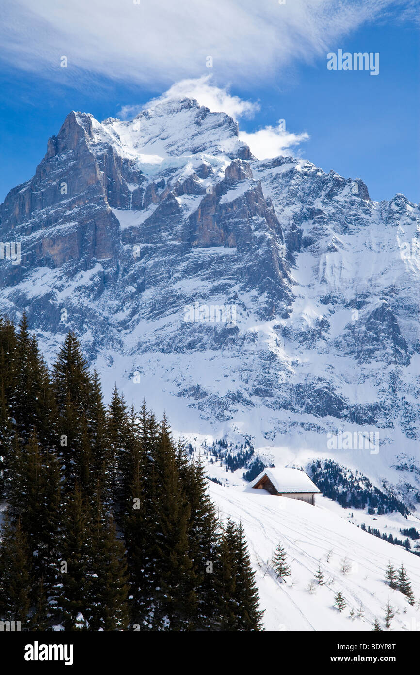 Wetterhorn mountain (3692m), Grindelwald, Jungfrau region, Bernese Oberland, Swiss Alps, Switzerland Stock Photo