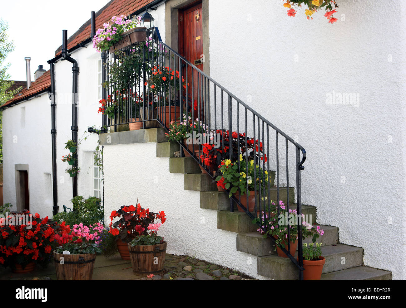 Stairway with flowering potted plants Stock Photo