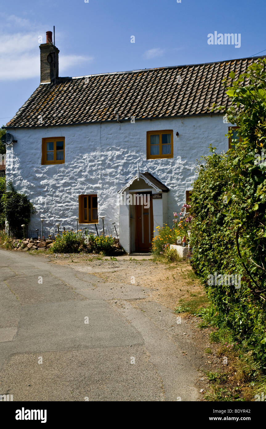 dh  ST MARTIN GUERNSEY Traditional whitewash stone Guersney farmhouse cottage farm channel islands saint martins house white exterior Stock Photo