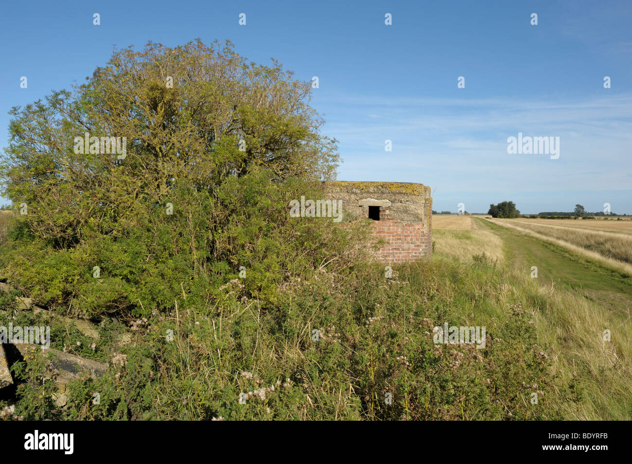 Wartime Pillbox on farmland Stock Photo Alamy