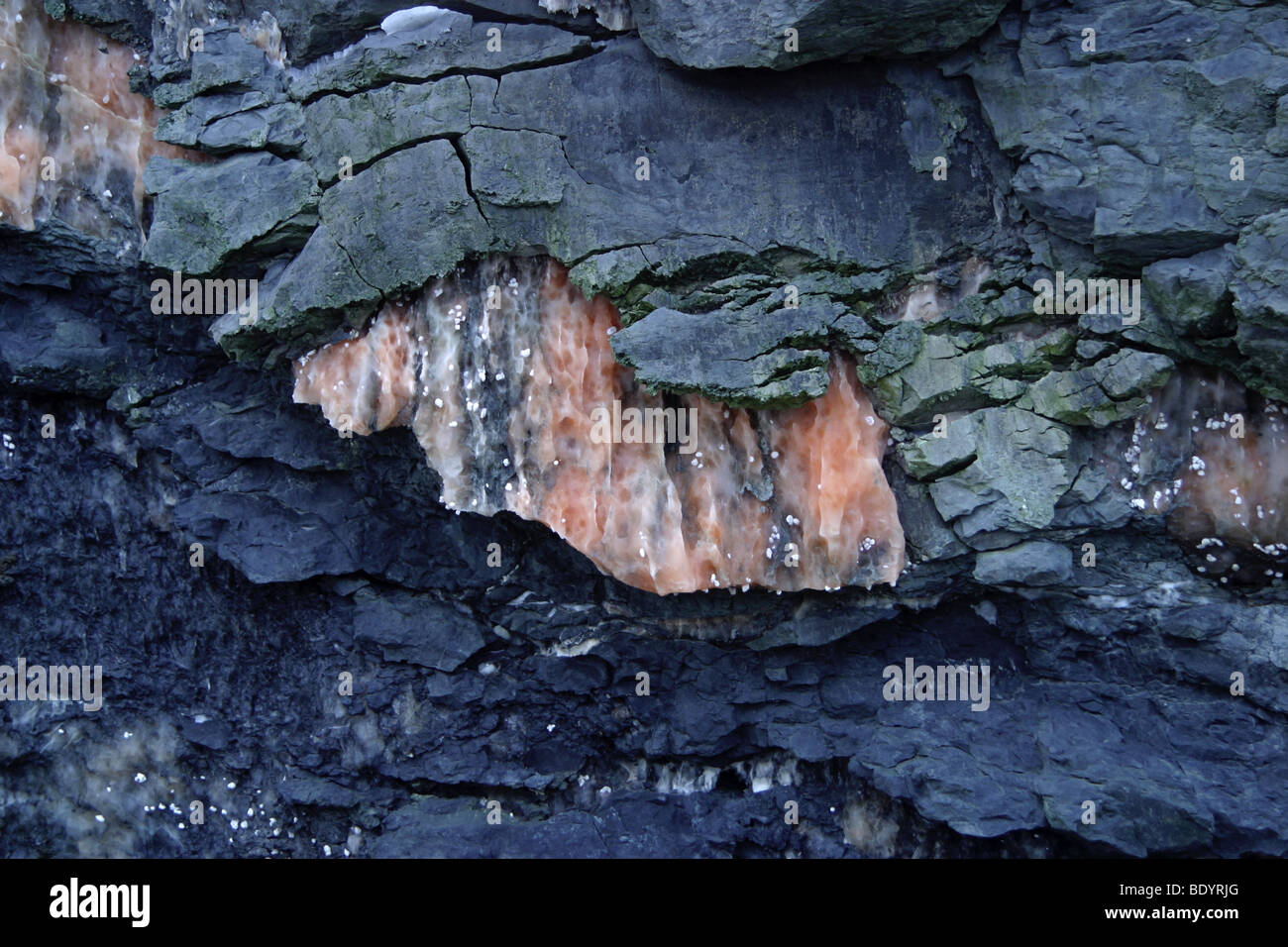 Pink and white gypsum / alabaster in rocks at Blue Anchor. Somerset
