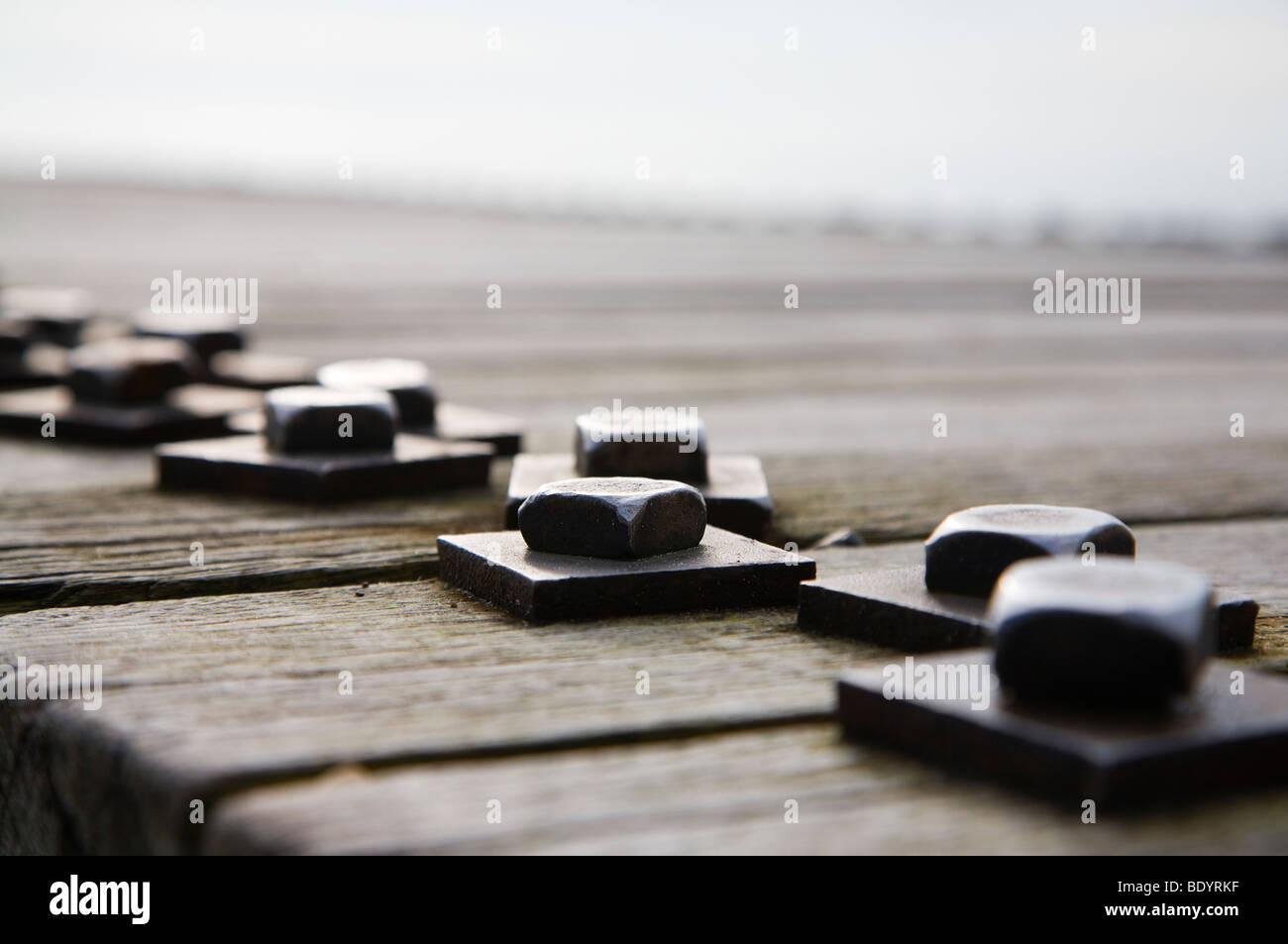 A line of nuts and bolts holding together a wooden jetty. Stock Photo