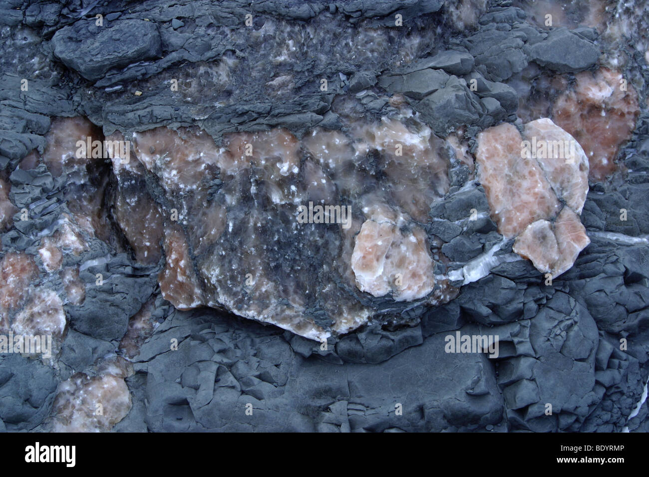 Pink and white gypsum / alabaster in rocks at Blue Anchor. Somerset
