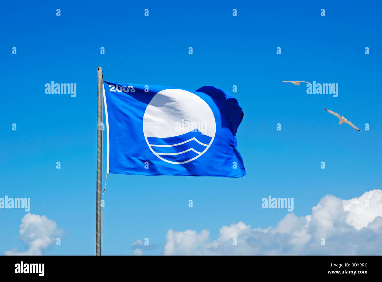 the ' blue flag ' flying over porthmeor beach in st.ives,cornwall,uk Stock Photo