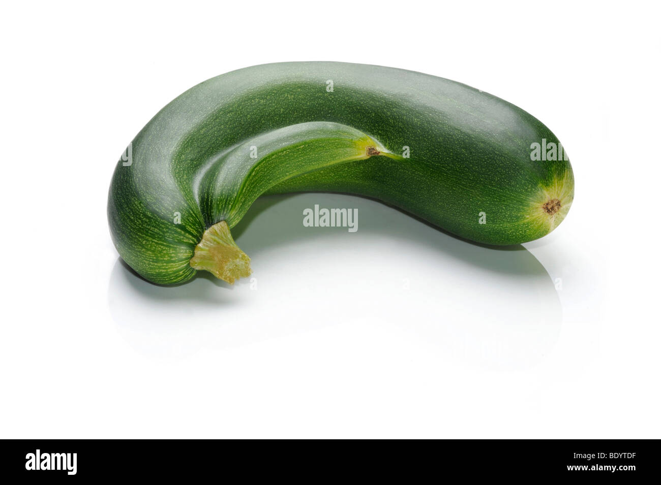 Zucchini with baby Stock Photo