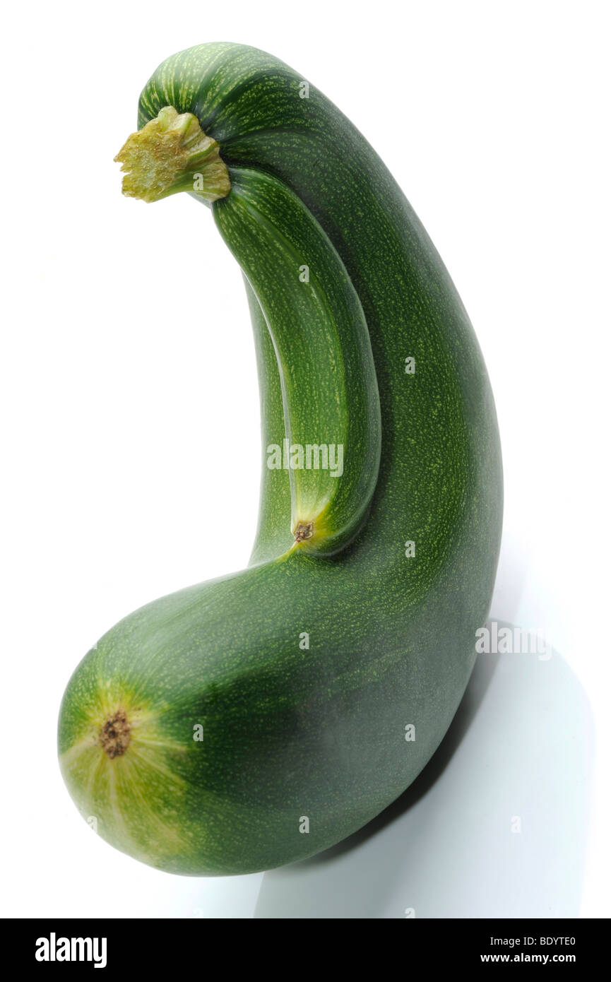 Zucchini with baby Stock Photo