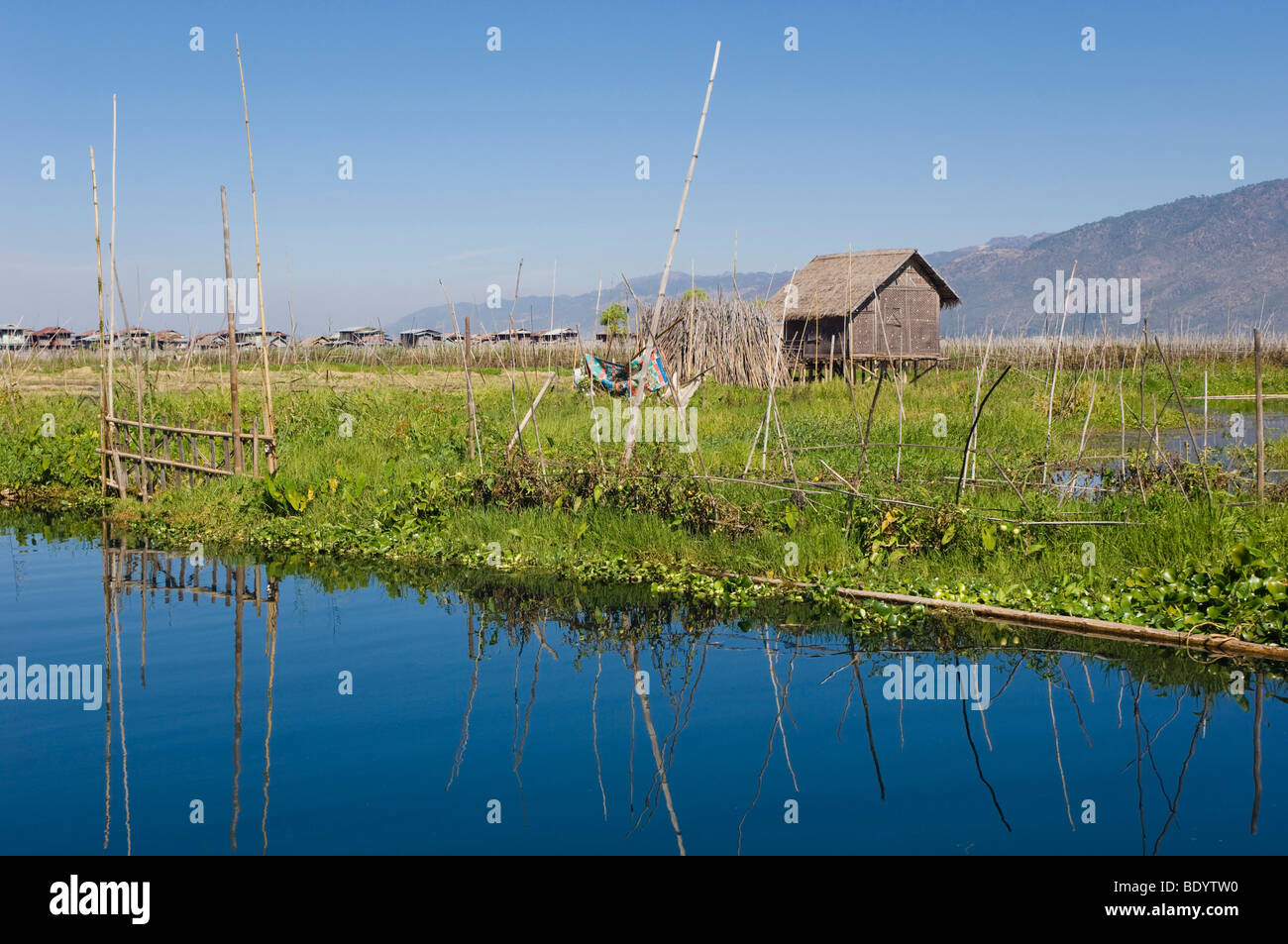 Floating Garden, Inle Lake, Shan State, Burma, Myanmar, Asia Stock Photo