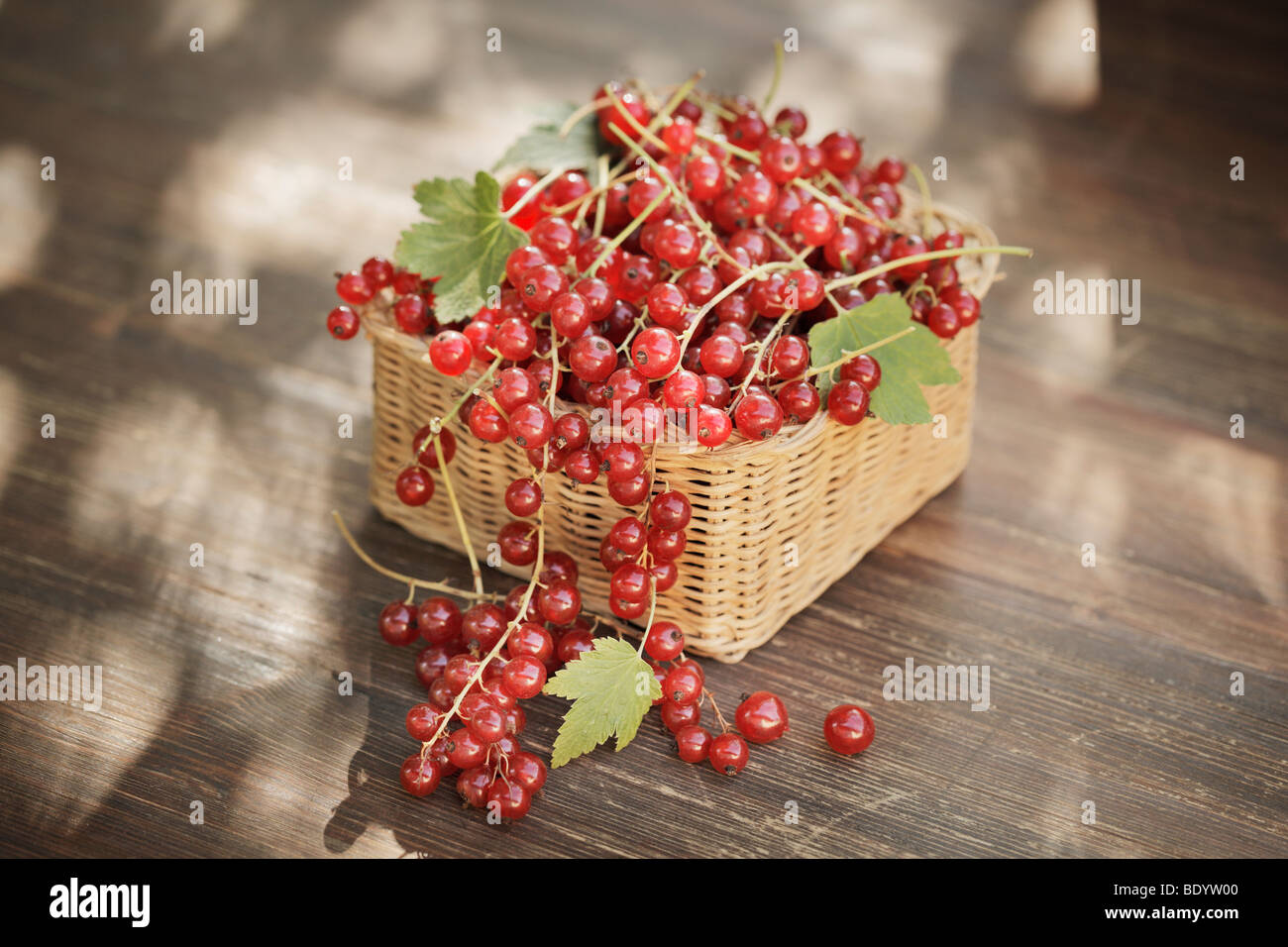 Redcurrants in a small basket Stock Photo