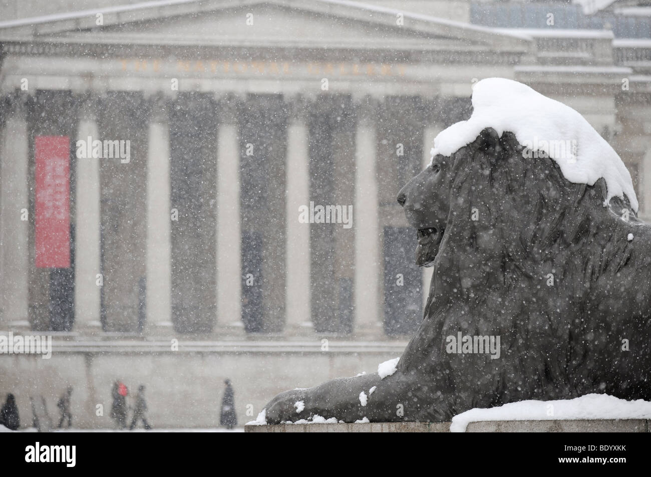 Lion in trafalgar square hi-res stock photography and images - Alamy