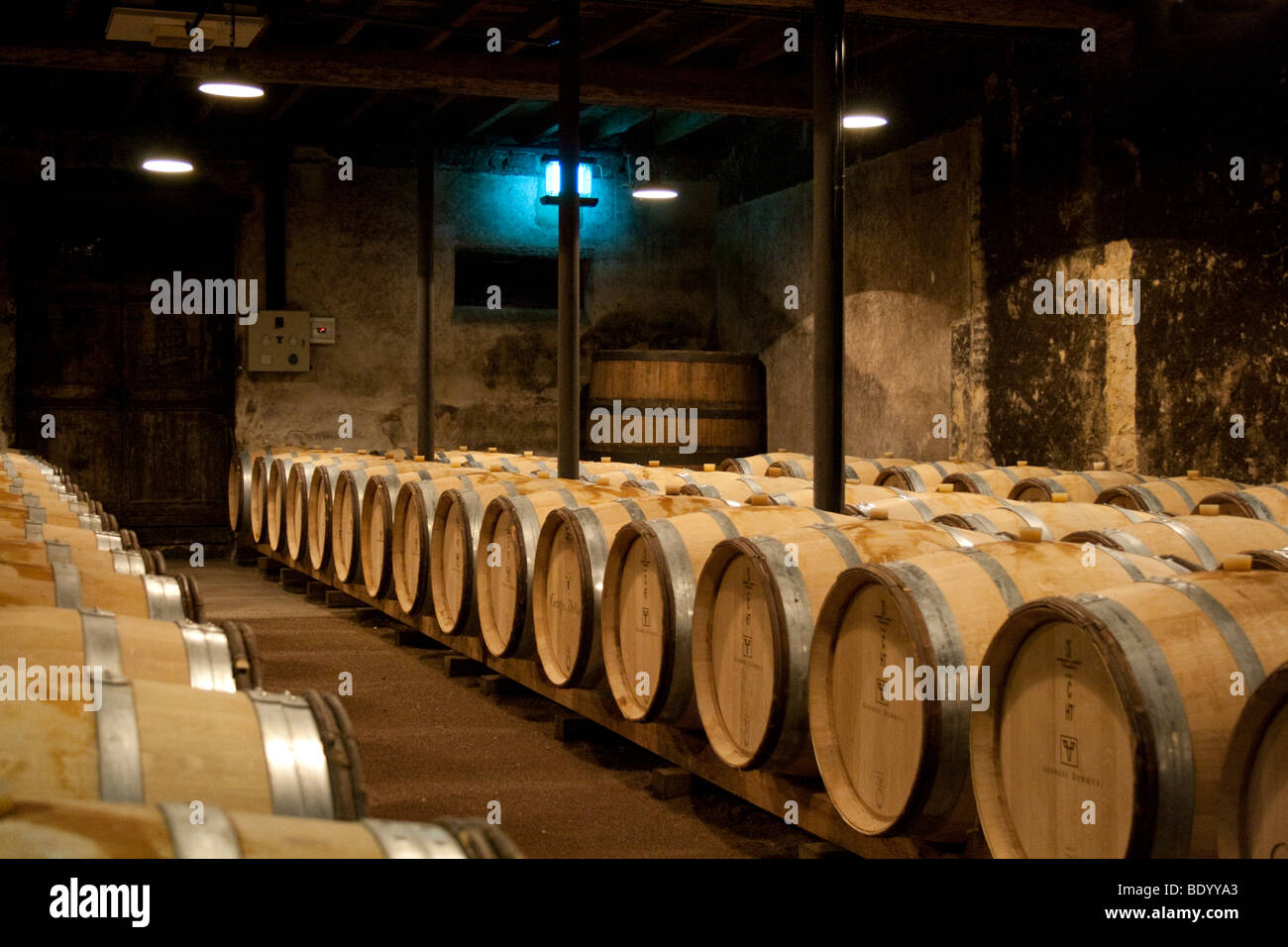 Burgundy France 2009 Cluny Abbey vineyard the cellars Stock Photo