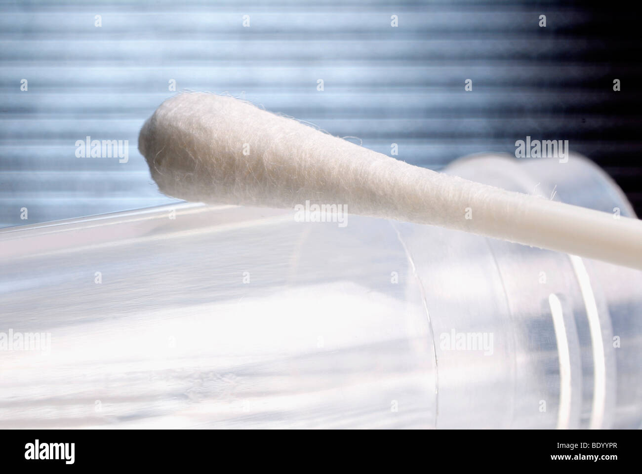 Cotton swab for DNA testing and paternity testing Stock Photo Alamy