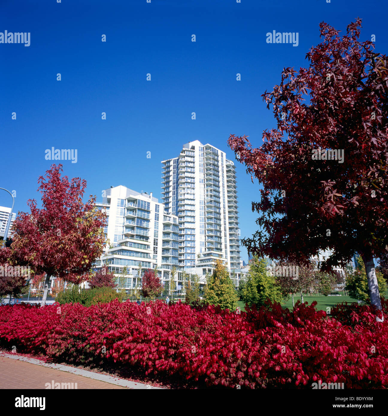 High rise tower condominium buildings hi-res stock photography and ...