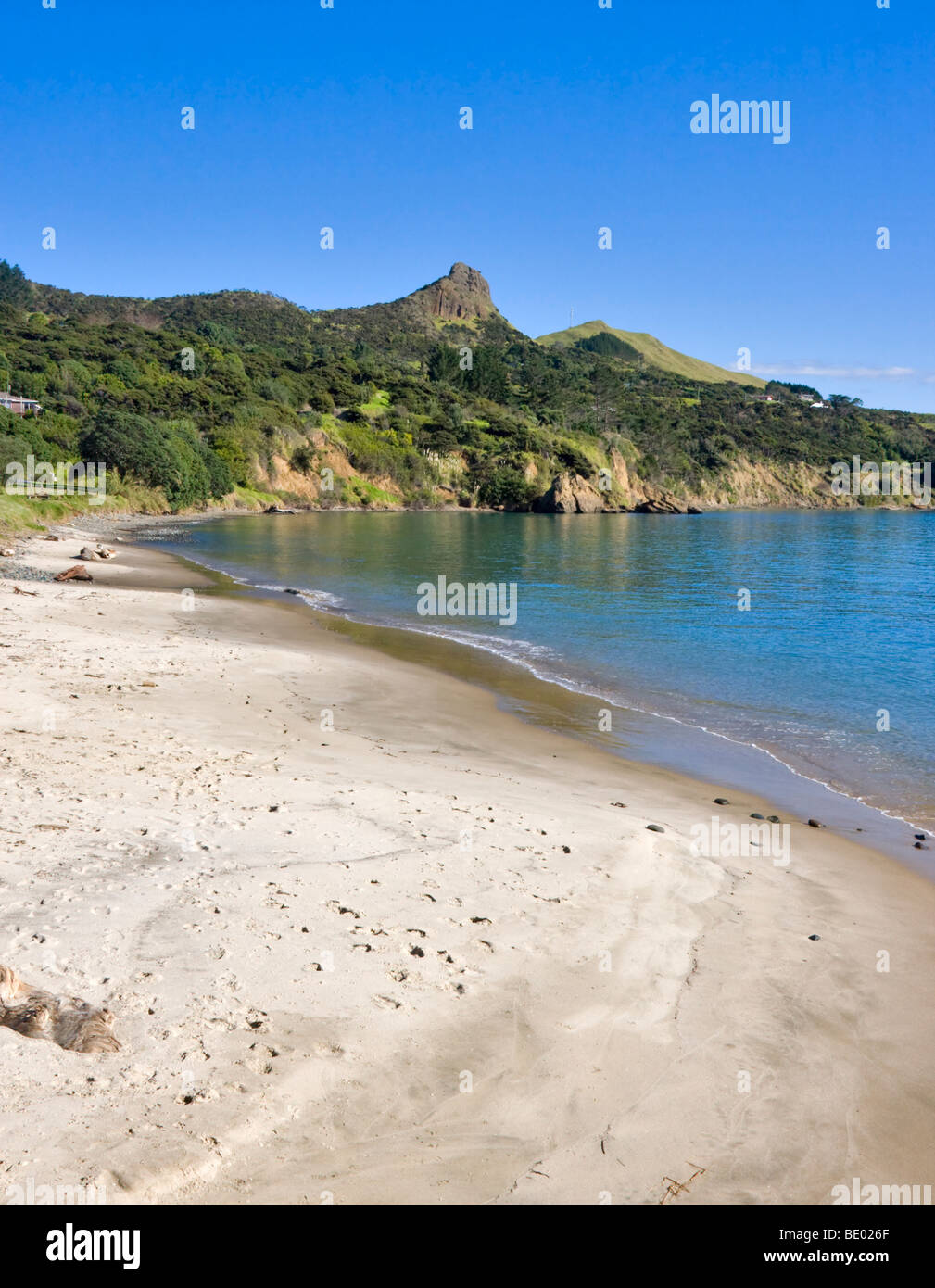 The beach at Omapere, North Island, New Zealand. Stock Photo