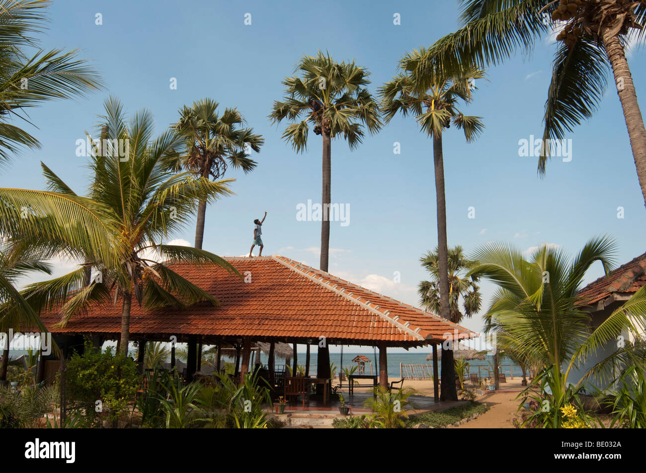 Dating south near palmyra pa