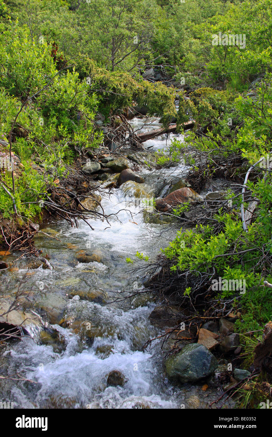 Brook little hires stock photography and images Alamy