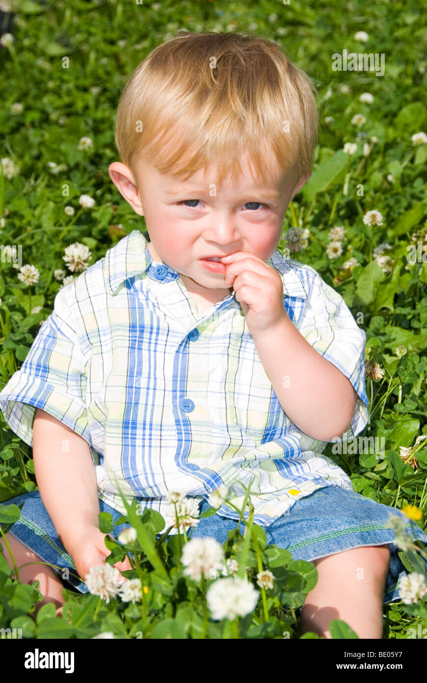 Little Boy Aged 14 Months Sitting Amongst White Clover Flowers on Summer Day Stock Photo
