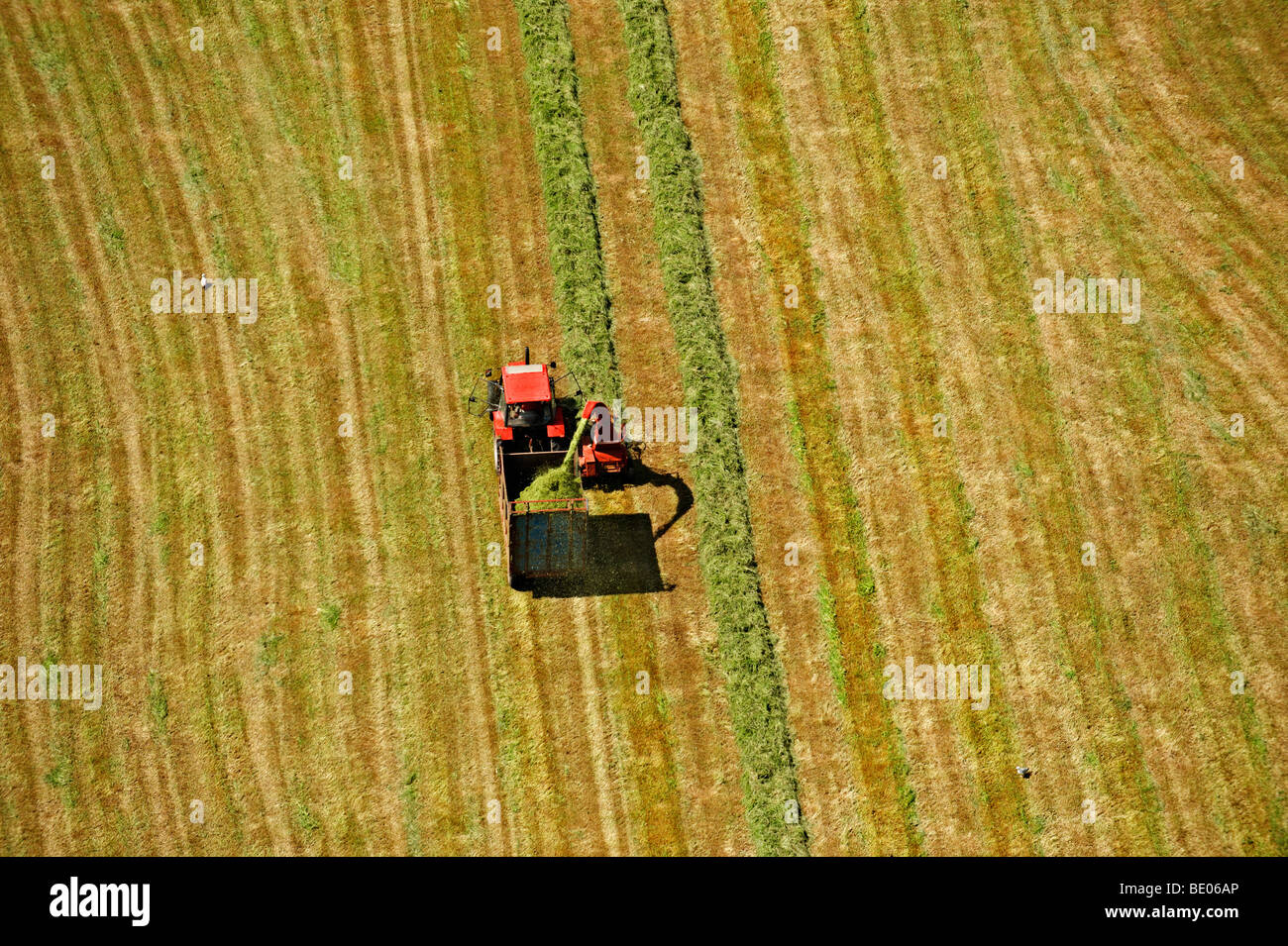 Harvesting hires stock photography and images Alamy