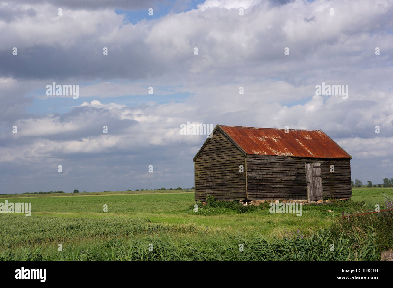 A shed in a field near Ely in Cambridgeshire, England, UK Stock Photo