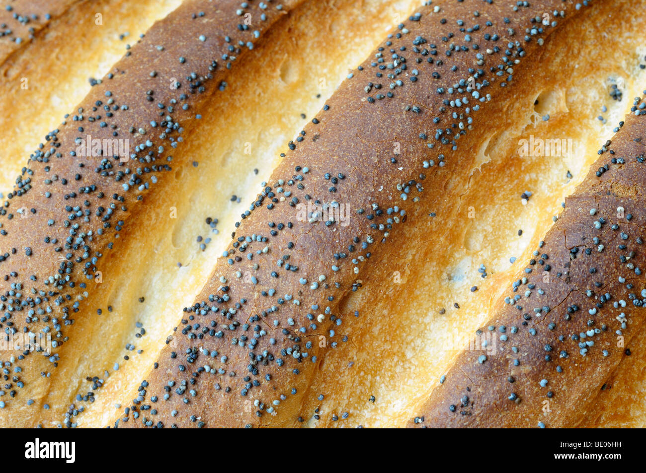 A loaf of poppy seed bloomer bread Stock Photo Alamy