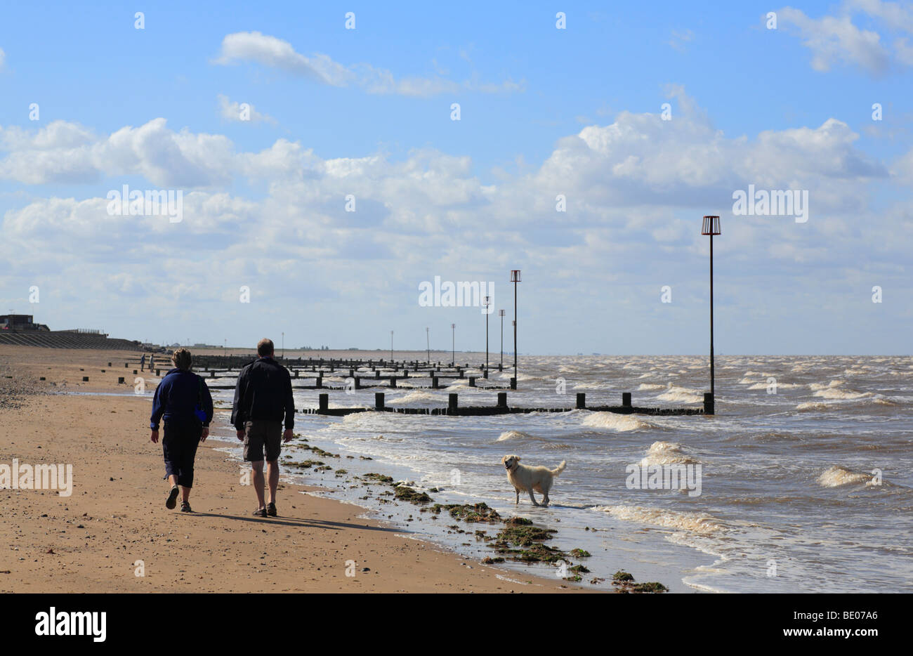 Middle aged couple walking with their dog along the beach at Heacham, Norfolk, England. Stock Photo