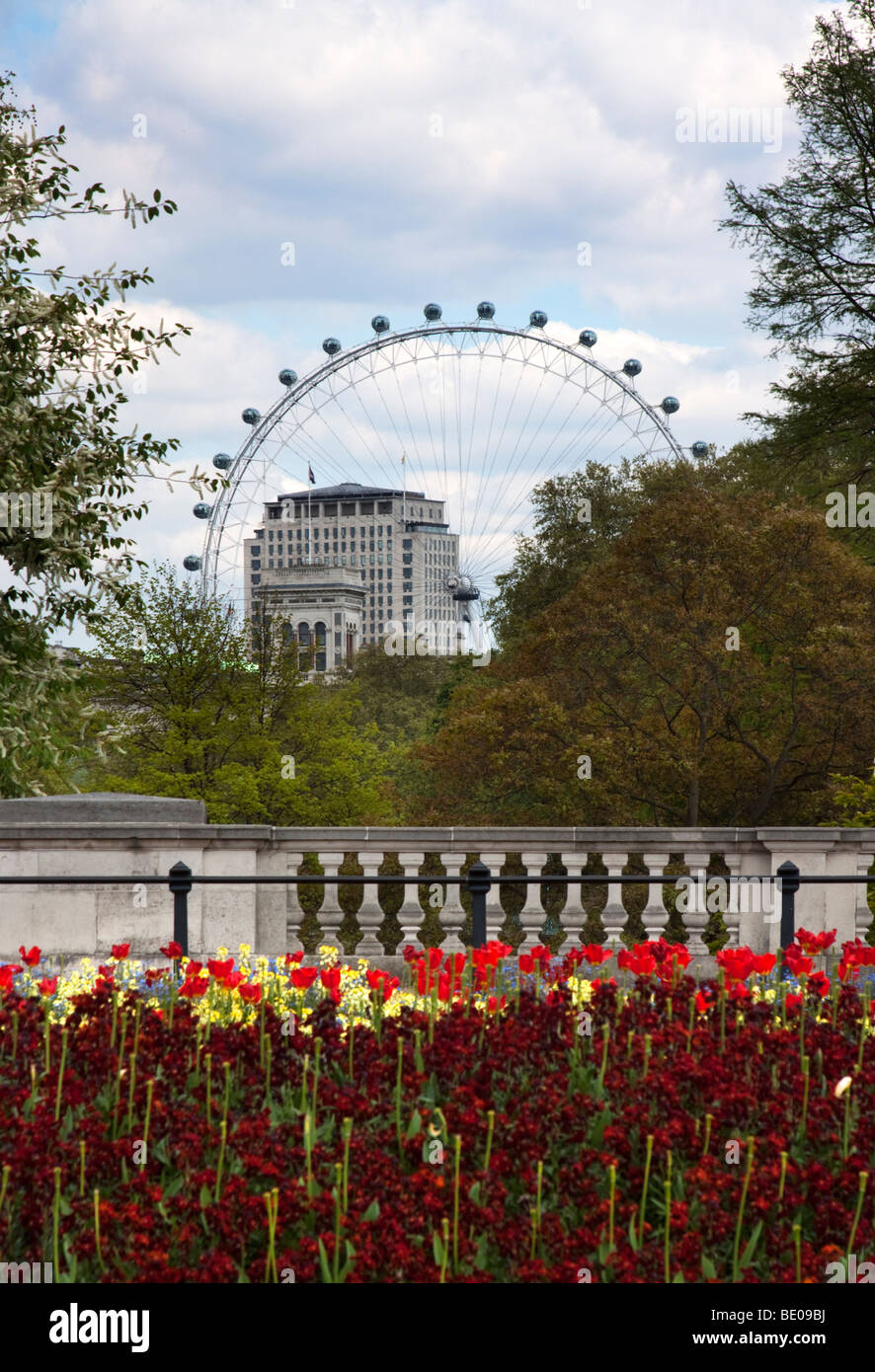 London Eye from Buckingham Palace, London, England Stock Photo Alamy