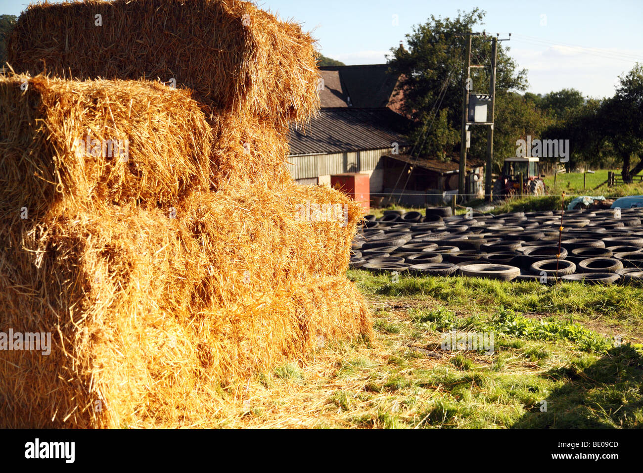 A haystack with a silage pit in the background, covered with old tires tyres Stock Photo