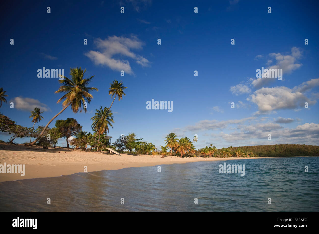 Usa, Caribbean, Puerto Rico, Vieques Island, Sun Bay Beach Stock Photo ...