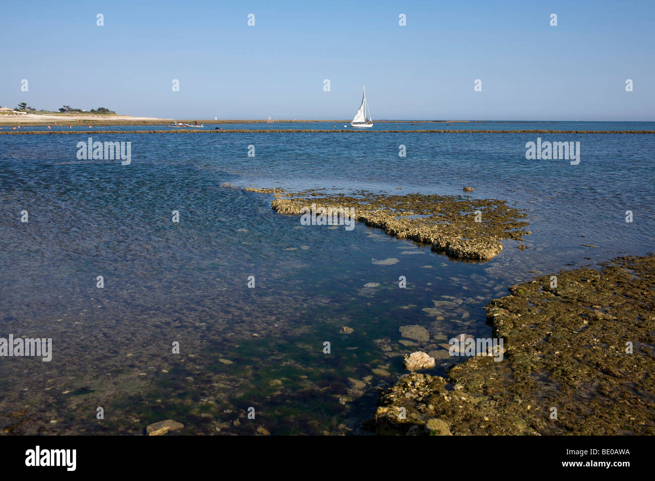 Beach At La Noue Ile De Re France Stock Photo 25824102