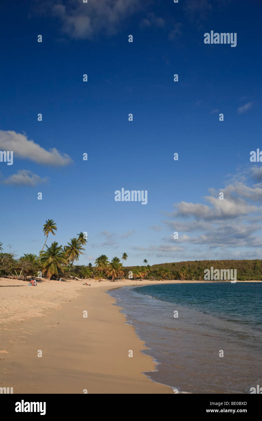 Usa, Caribbean, Puerto Rico, Vieques Island, Sun Bay Beach Stock Photo