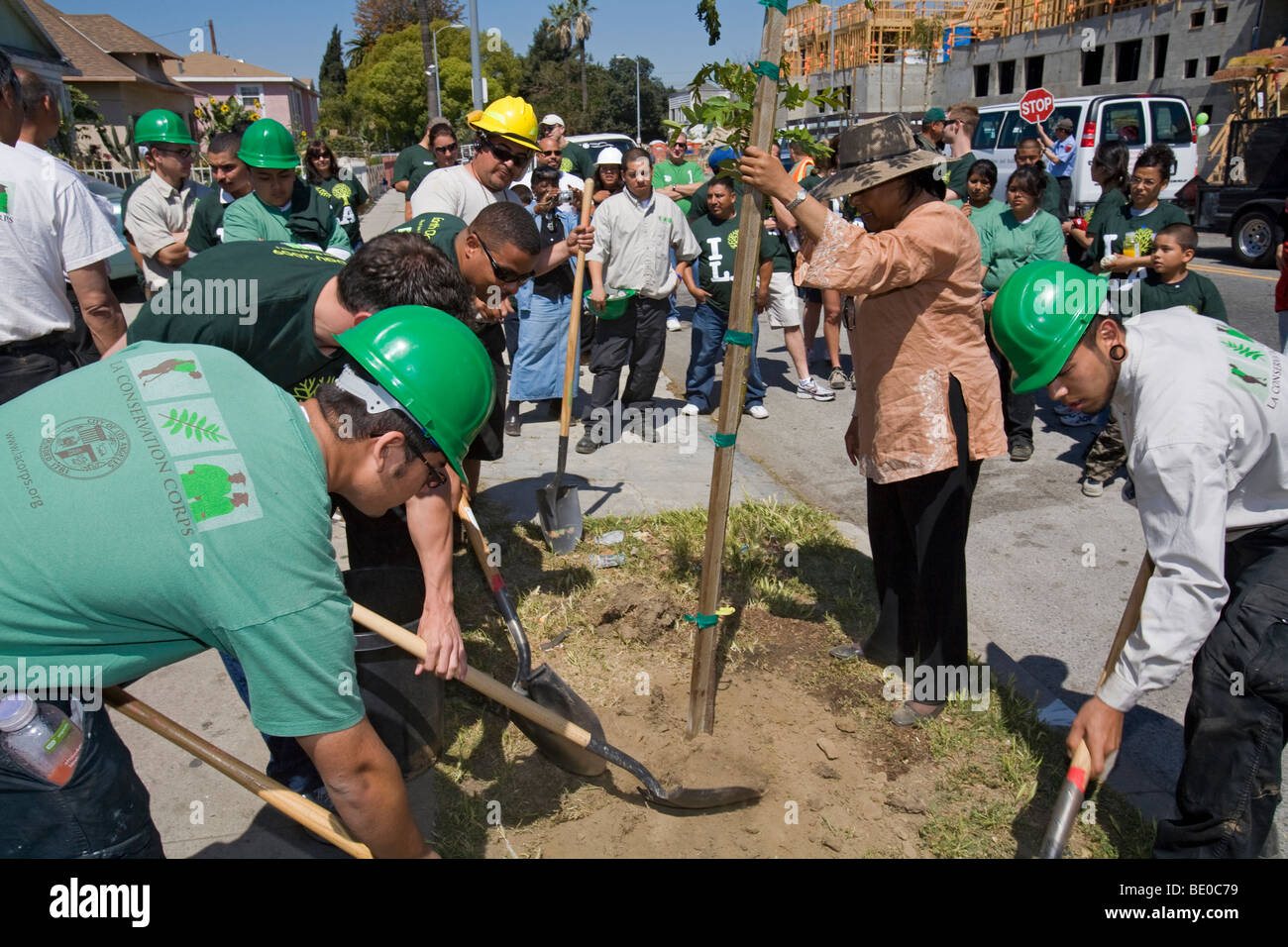 Tree Planting in South Central Los Angeles, California, USA Stock Photo