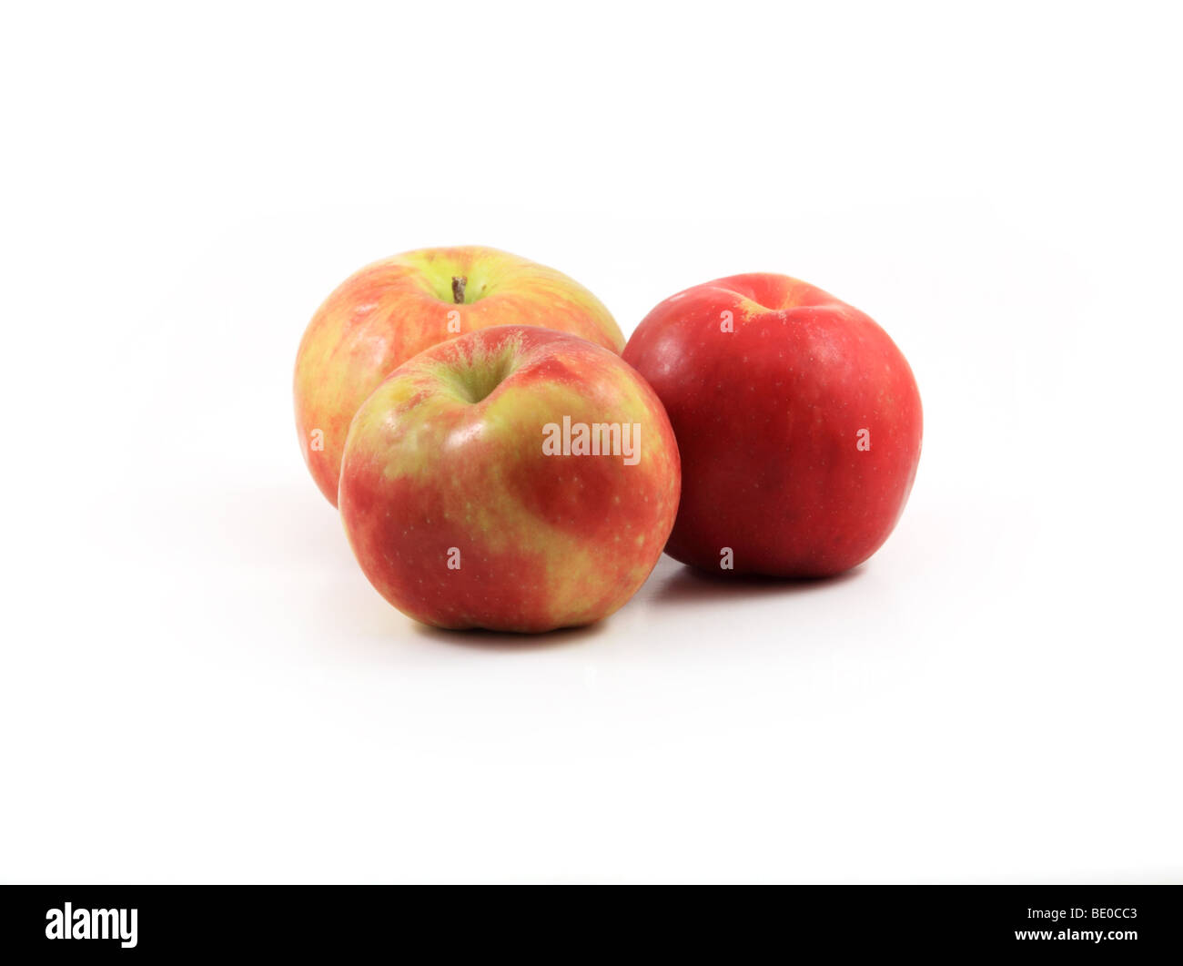 Three Gravenstein apples. Stock Photo