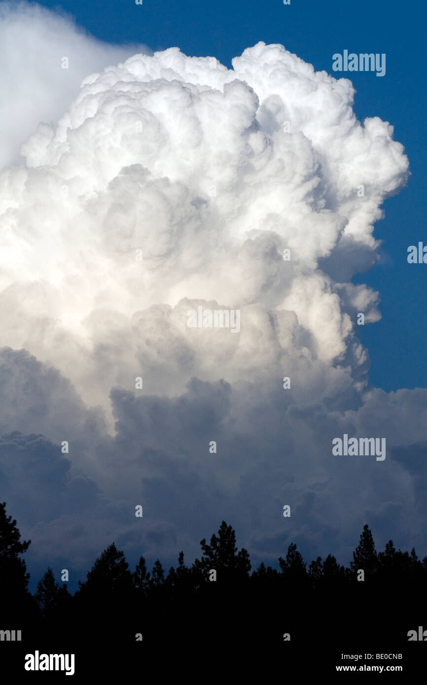 Cumulonimbus thunderstorm clouds form near Cascade, Idaho, USA. Stock Photo