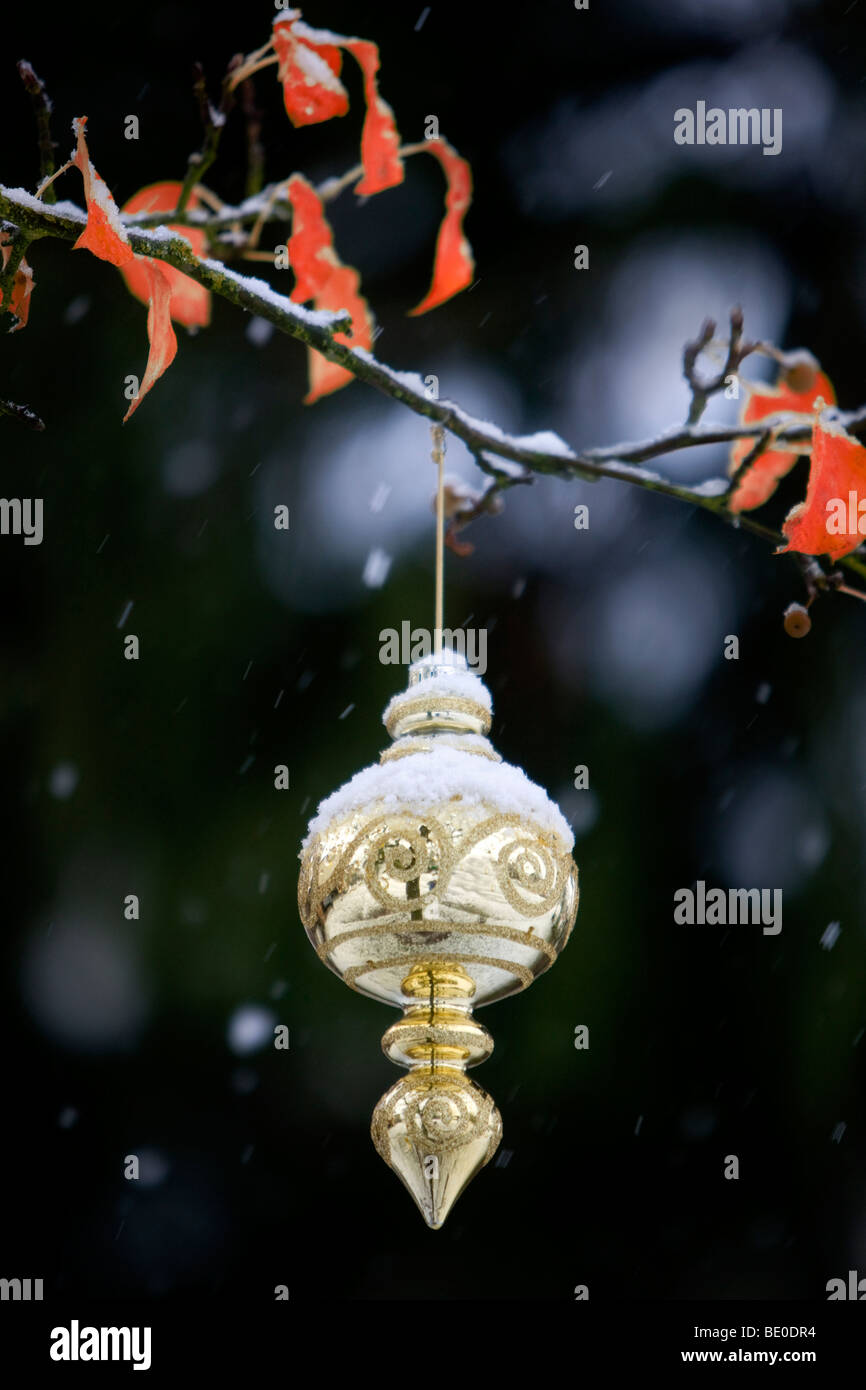 Christmas tree ornament in snow covered tree. Stock Photo