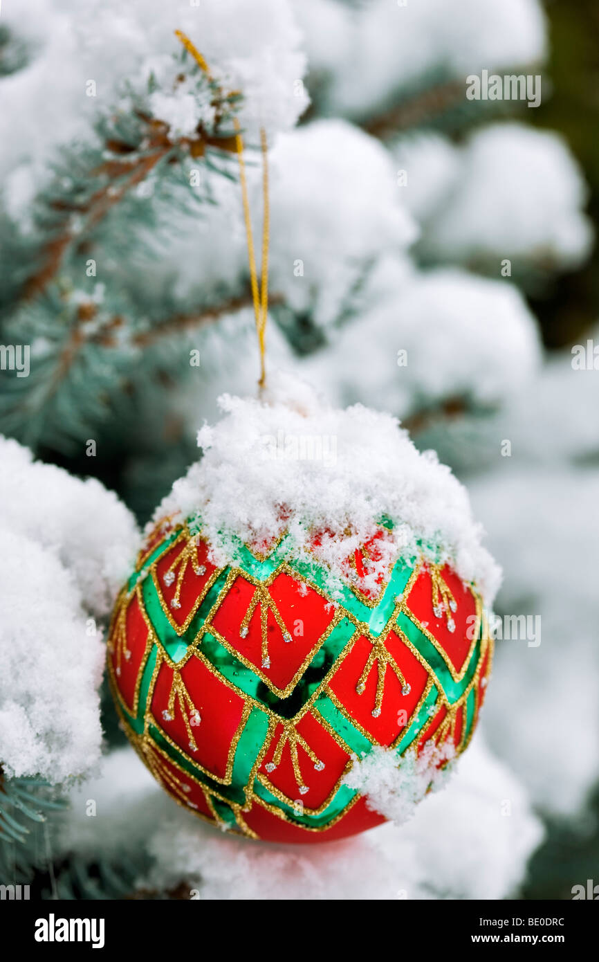 Christmas tree ornament in snow covered tree. Stock Photo