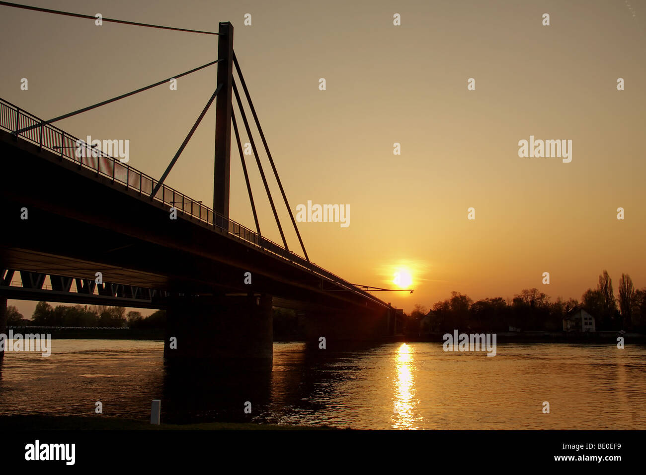 Rheinbrücke im Abendlicht Stock Photo