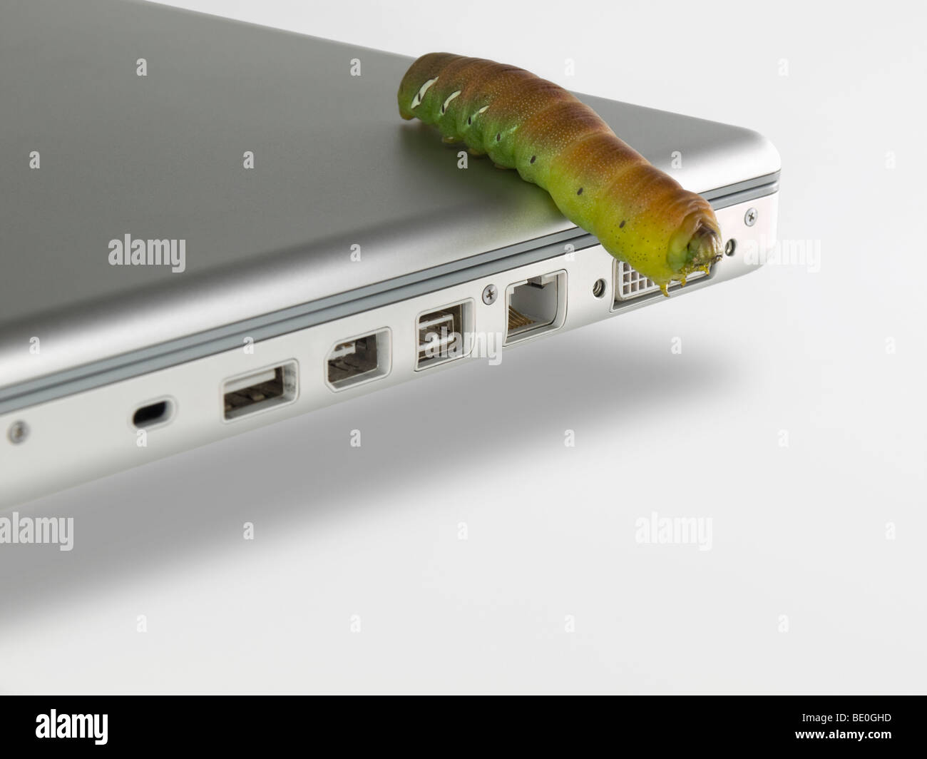 Macro shot of a caterpillar over a computer laptop. Stock Photo