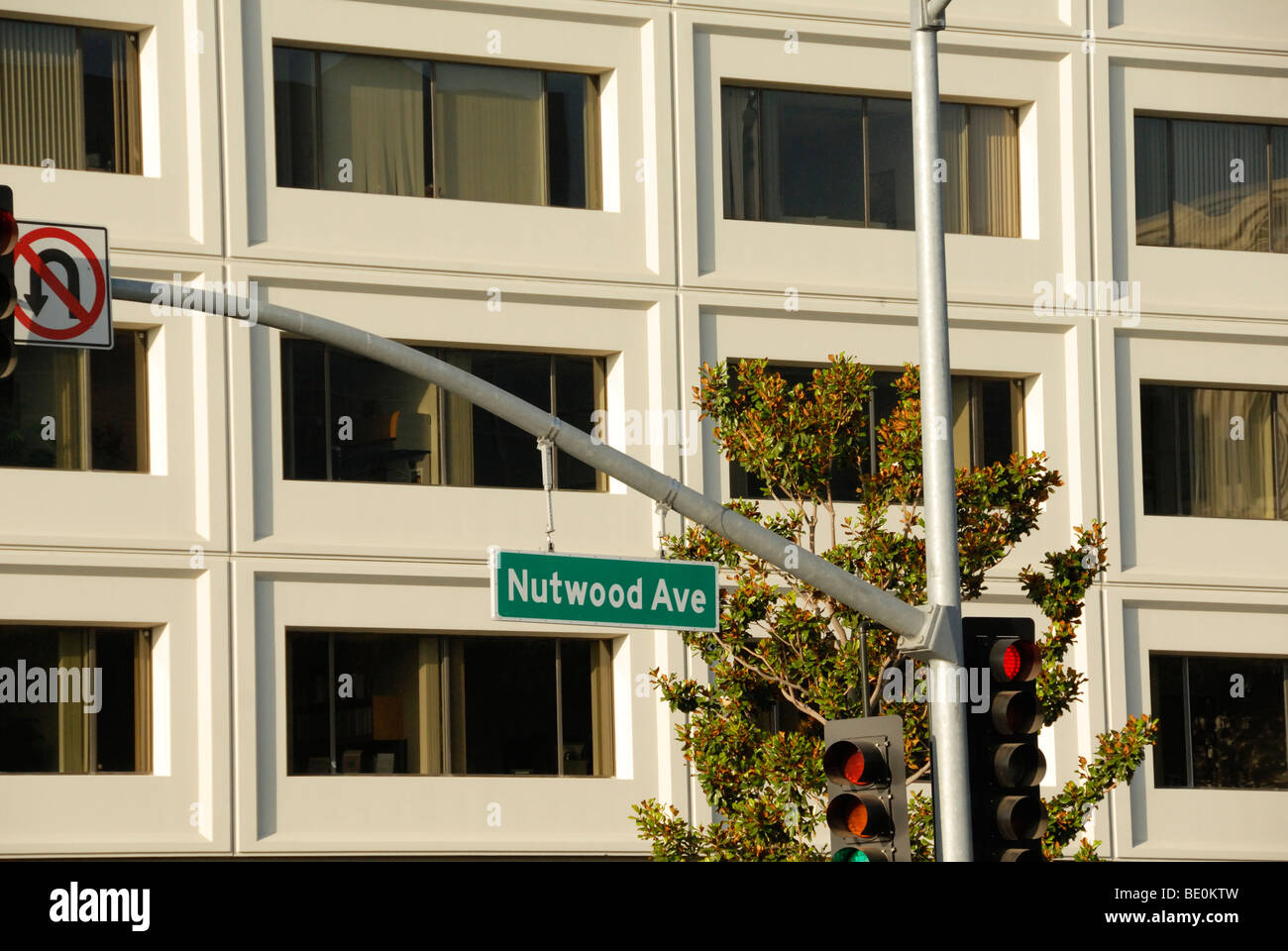 Nutwood Avenue in California Stock Photo